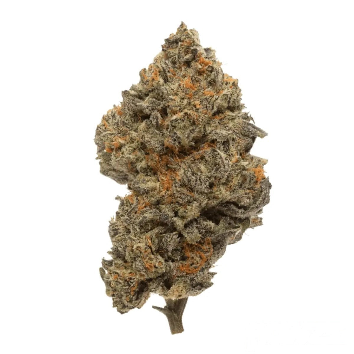 27/1 CPC - Cherry Pie Cookies