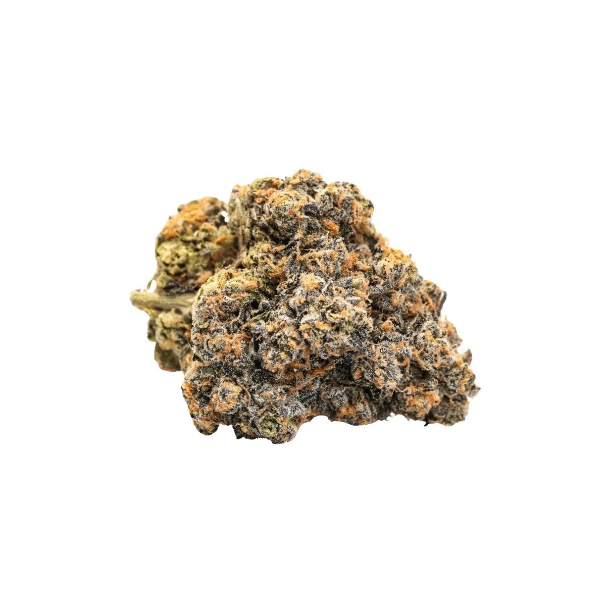 29/1 YHE - Cookies Gelato YaHemi