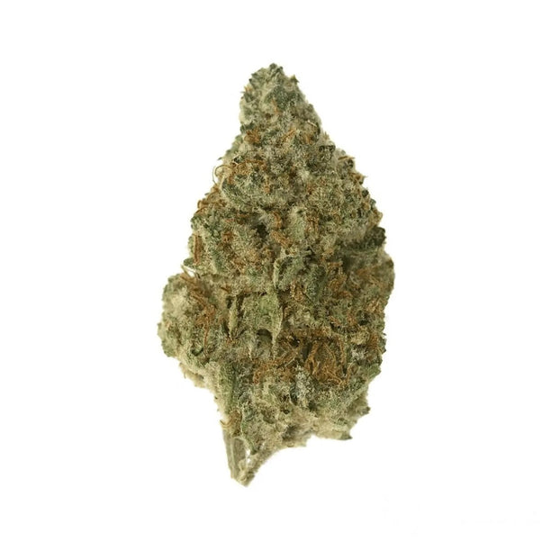 26/1 FRC - Frosted Cookies