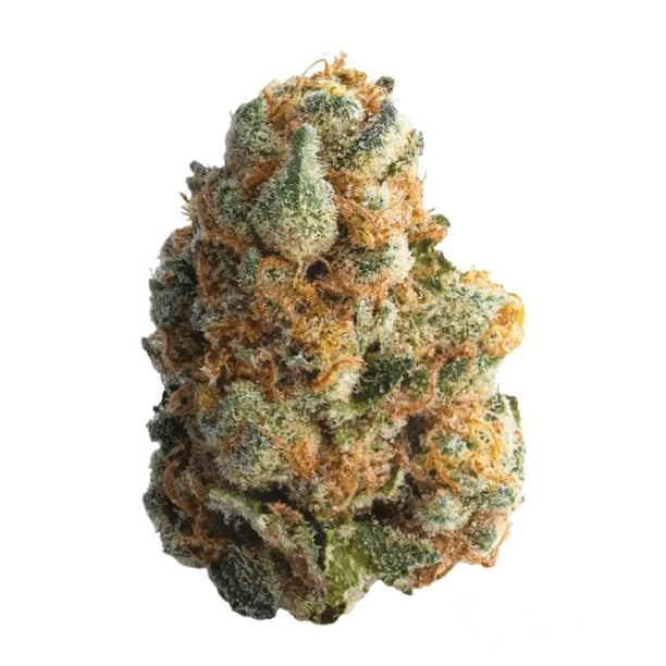 31/1 GT - Garlic Truffle