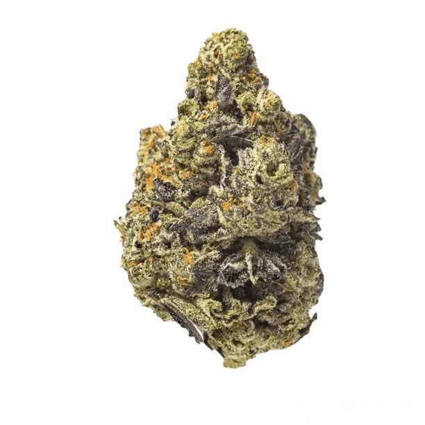 24/1 - Kush Mints